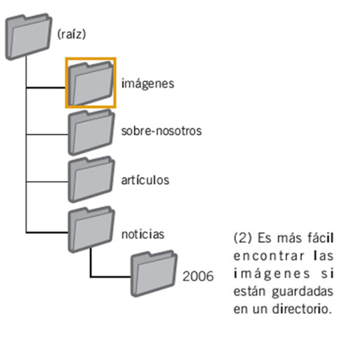 Directory of images