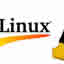 Linux | Websites Management | In the early nineties, Linus Torvalds developed a small nucleus of a clonic UNIX system as part of one of his research projects