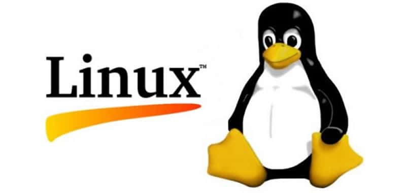 Linux | Websites Management | In the early nineties, Linus Torvalds developed a small nucleus of a clonic UNIX system as part of one of his research projects