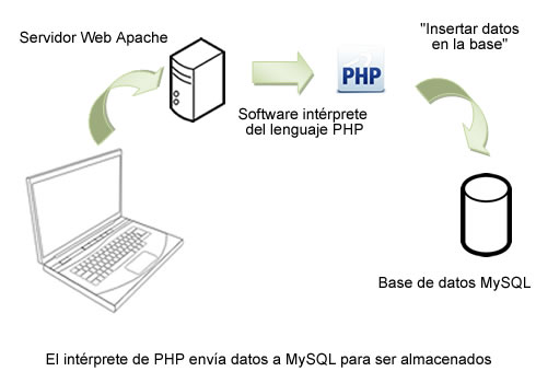 Insertar datos a MySQL