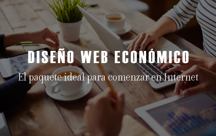 Creation of an Economic Website