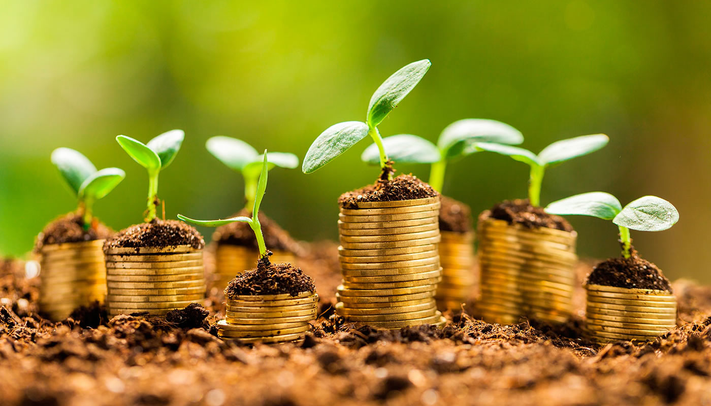 Cómo Invertir Fondos en Carteras de Bonos Verdes: ¿Qué son?