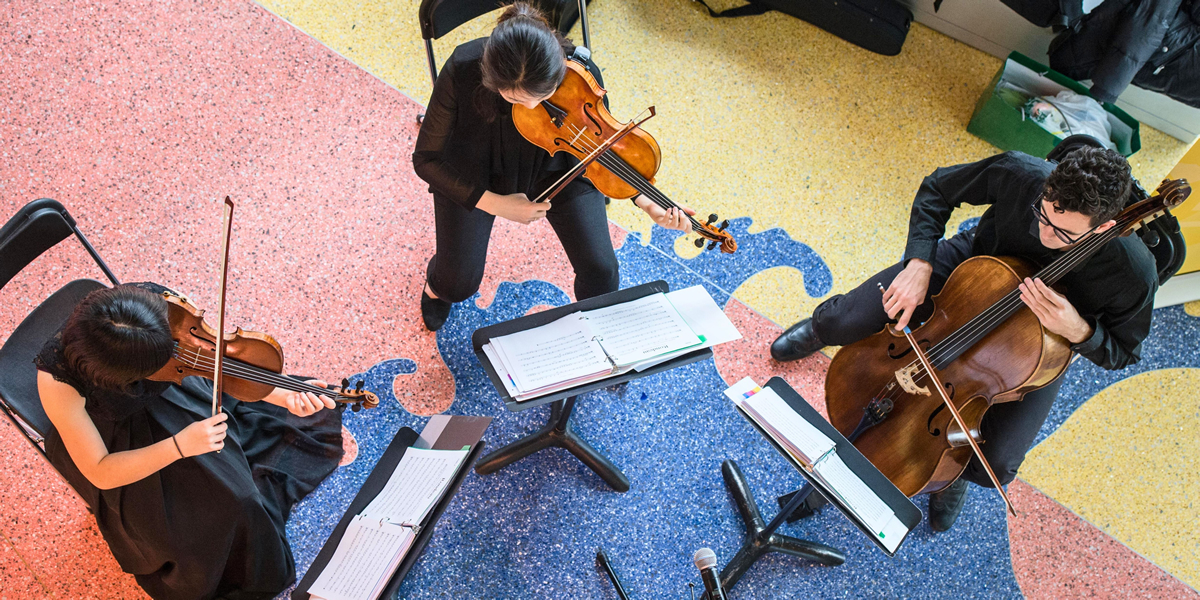 Programas Académicos en Música Profesional – Centro Universitario Fermatta