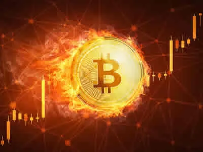¿El Bitcoin está atravesando un inicio de año favorable?