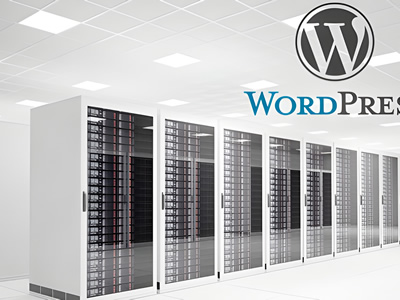 Hosting WordPress Optimizado: Rápido y Seguro con Duplika